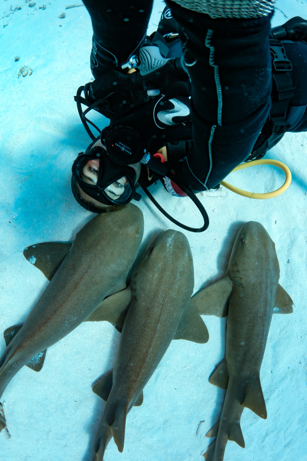 scuba